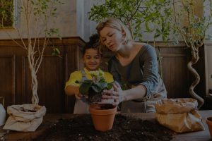 The Role of Feng Shui in Creating a Balanced Family Environment