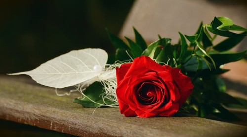 Read more about the article Attract Love-Powerful Feng Shui Ornaments for Singles