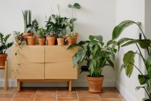 Read more about the article Attract Positive Energy-The Best Feng Shui Decorations for Your Living Room