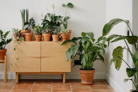 You are currently viewing Attract Positive Energy-The Best Feng Shui Decorations for Your Living Room