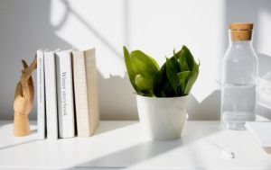Read more about the article Boost Your Productivity-Feng Shui Ornaments for Home Offices