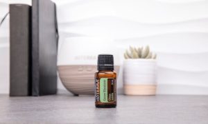 Read more about the article Boost Your Productivity-Feng Shui Tips for Office Energy with Essential Ornaments