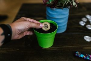 Read more about the article Boost Your Wealth-Essential Feng Shui Ornaments for Financial Prosperity
