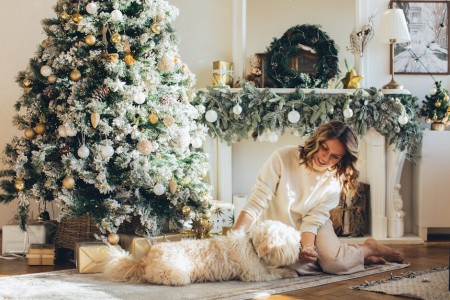 You are currently viewing Boosting Family Harmony-The Role of Feng Shui Ornaments in Your Home