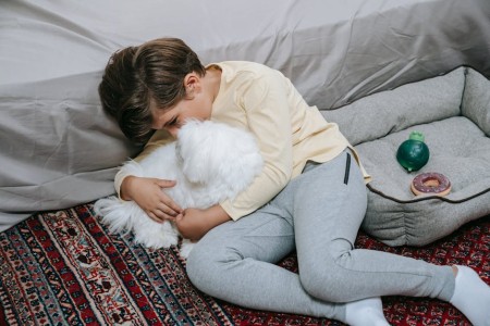 You are currently viewing Children\’s Spaces-Feng Shui Ornaments to Create a Nurturing Environment for Kids