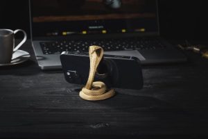 Read more about the article Choosing Feng Shui Energy Ornaments for Your Office-A Practical Guide