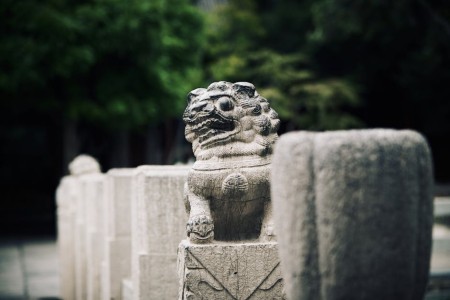 Read more about the article Choosing the Right Feng Shui Ornaments-Common Mistakes to Avoid