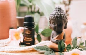 Read more about the article Create a Calm Sanctuary-Best Feng Shui Ornaments for Relaxation and Peace