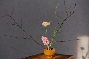 Read more about the article Create a Calm Workspace-Feng Shui Decor for Stress Reduction