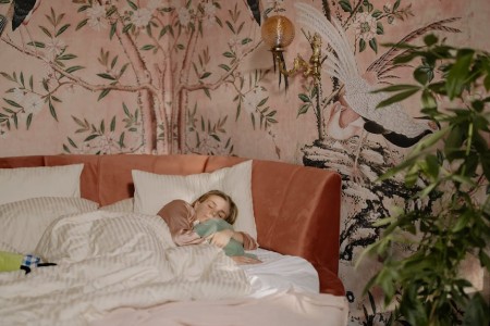 Read more about the article Create a Calming Atmosphere-Best Feng Shui Decor for Stress Relief