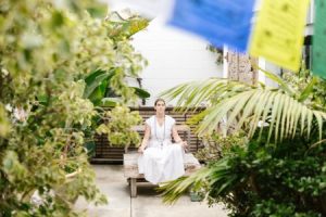 Read more about the article Create a Calming Environment-Feng Shui Ornaments for Stress Relief