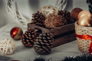 Read more about the article Create a Cozy Atmosphere-Feng Shui Tips for Winter Decor