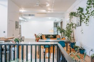 Read more about the article Create a Harmonious Living Space-Feng Shui Decor Tips for Every Room