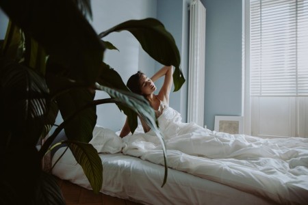 You are currently viewing Create a Peaceful Bedroom-Best Feng Shui Ornaments for Restful Sleep