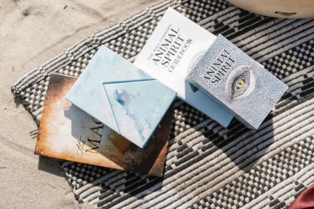 Read more about the article Create a Peaceful Sanctuary-Feng Shui Energy Ornaments for Relaxation