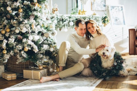 You are currently viewing Create Harmony-Feng Shui Ornaments to Enhance Family Relationships