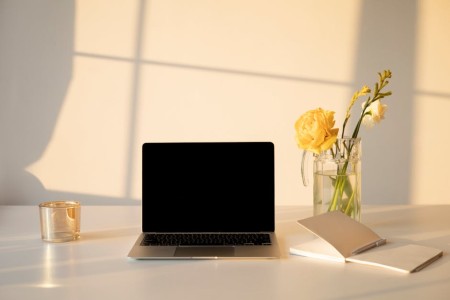 You are currently viewing Creating a Calm Workspace-Best Feng Shui Decor for Productivity