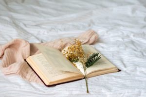 Read more about the article Creating a Calming Atmosphere-Best Feng Shui Decor for Your Home