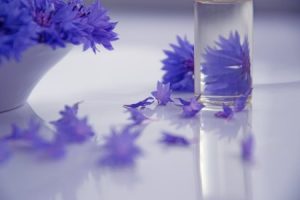 Read more about the article Creating a Calming Bedroom-Essential Feng Shui Decor Tips