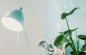 Read more about the article Creating a Calming Home Environment with Feng Shui Energy Ornaments