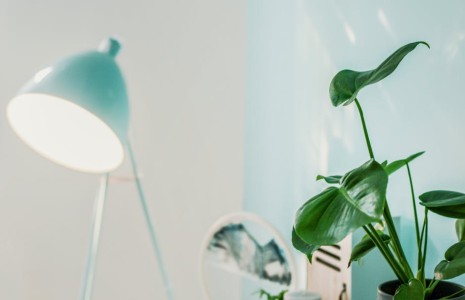 You are currently viewing Creating a Calming Home Environment with Feng Shui Energy Ornaments