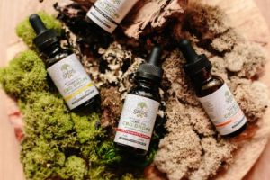Read more about the article Creating a Calming Space-Best Feng Shui Ornaments for Stress Relief