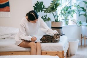 Read more about the article Creating a Harmonious Bedroom-Feng Shui Essentials You Need