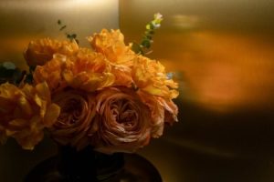 Read more about the article Creating a Harmonious Home-Feng Shui Tips for Beginners