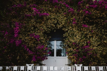 You are currently viewing Creating a Harmonious Home-The Role of Feng Shui Ornaments