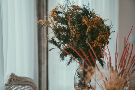 You are currently viewing Creating a Harmonious Living Space-Essential Feng Shui Ornaments for Every Room