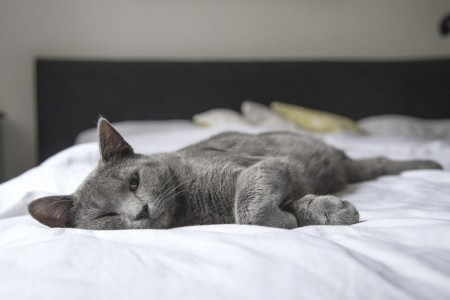 You are currently viewing Creating a Peaceful Bedroom-Essential Feng Shui Items for Restful Sleep