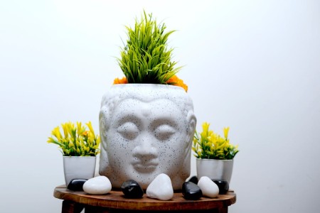 You are currently viewing Creating a Peaceful Home-Feng Shui Ornaments for Calm and Serenity