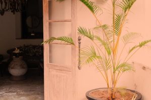 Read more about the article Creating an Inviting Entryway-Feng Shui Tips for First Impressions