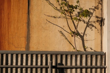 Read more about the article Creating Harmony-Feng Shui Ornaments for a Balanced Family Environment