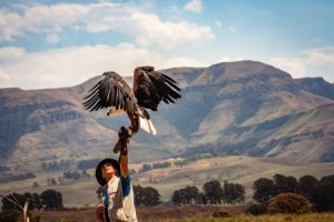 Read more about the article Declutter with Purpose-Feng Shui Techniques for a Stress-Free Environment