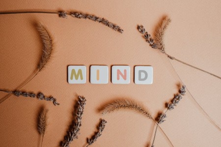 You are currently viewing Decorating with Purpose-Feng Shui Ornaments for a Peaceful Mind