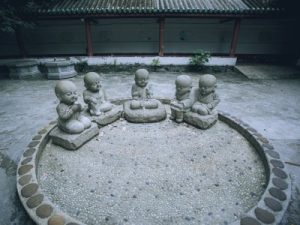 Read more about the article Designing a Zen Garden-Feng Shui Elements for Outdoor Spaces