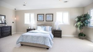 Read more about the article Designing with Intention-Feng Shui Decor Tips for Modern Homes