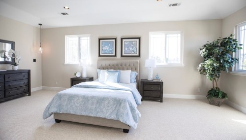 You are currently viewing Designing with Intention-Feng Shui Decor Tips for Modern Homes