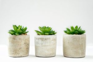 Read more about the article Designing with Intention-Feng Shui Energy Ornaments for Mindful Living