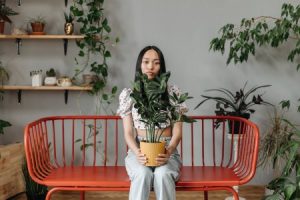 Read more about the article Designing with Purpose-Feng Shui Principles for a Mindful Living Space