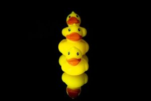 Read more about the article Discover the Best Feng Shui Energy Ornaments for Small Spaces