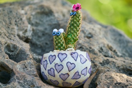You are currently viewing DIY Feng Shui Ornaments-Create Your Own Energy Boosting Decor