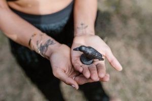 Read more about the article Elevate Your Entryway-Feng Shui Energy Ornaments for Welcoming Energy