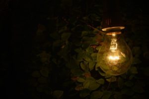 Read more about the article Elevate Your Garden-Feng Shui Ornaments to Enhance Outdoor Energy Flow