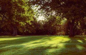 Read more about the article Elevate Your Garden Space-Feng Shui Energy Ornaments for Outdoor Serenity