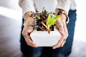 Read more about the article Elevate Your Home Decor with Stylish Feng Shui Energy Ornaments