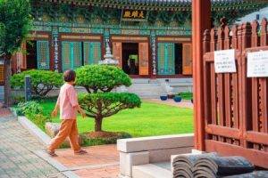 Read more about the article Elevate Your Meditation Practice-Must-Have Feng Shui Ornaments