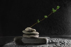 Read more about the article Elevate Your Meditation Space-Using Feng Shui Ornaments for Spiritual Growth