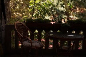 Read more about the article Elevate Your Outdoor Space-Feng Shui Garden Decor Ideas